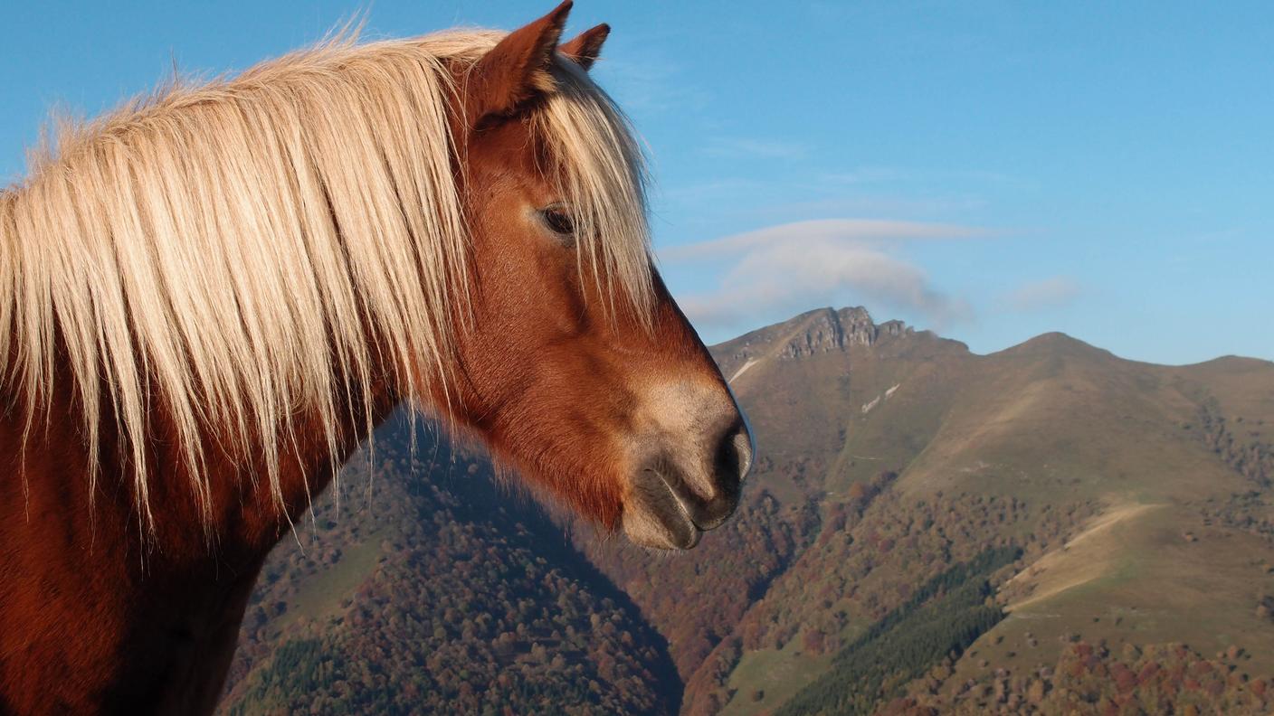 Lo sguardo del Bisbino