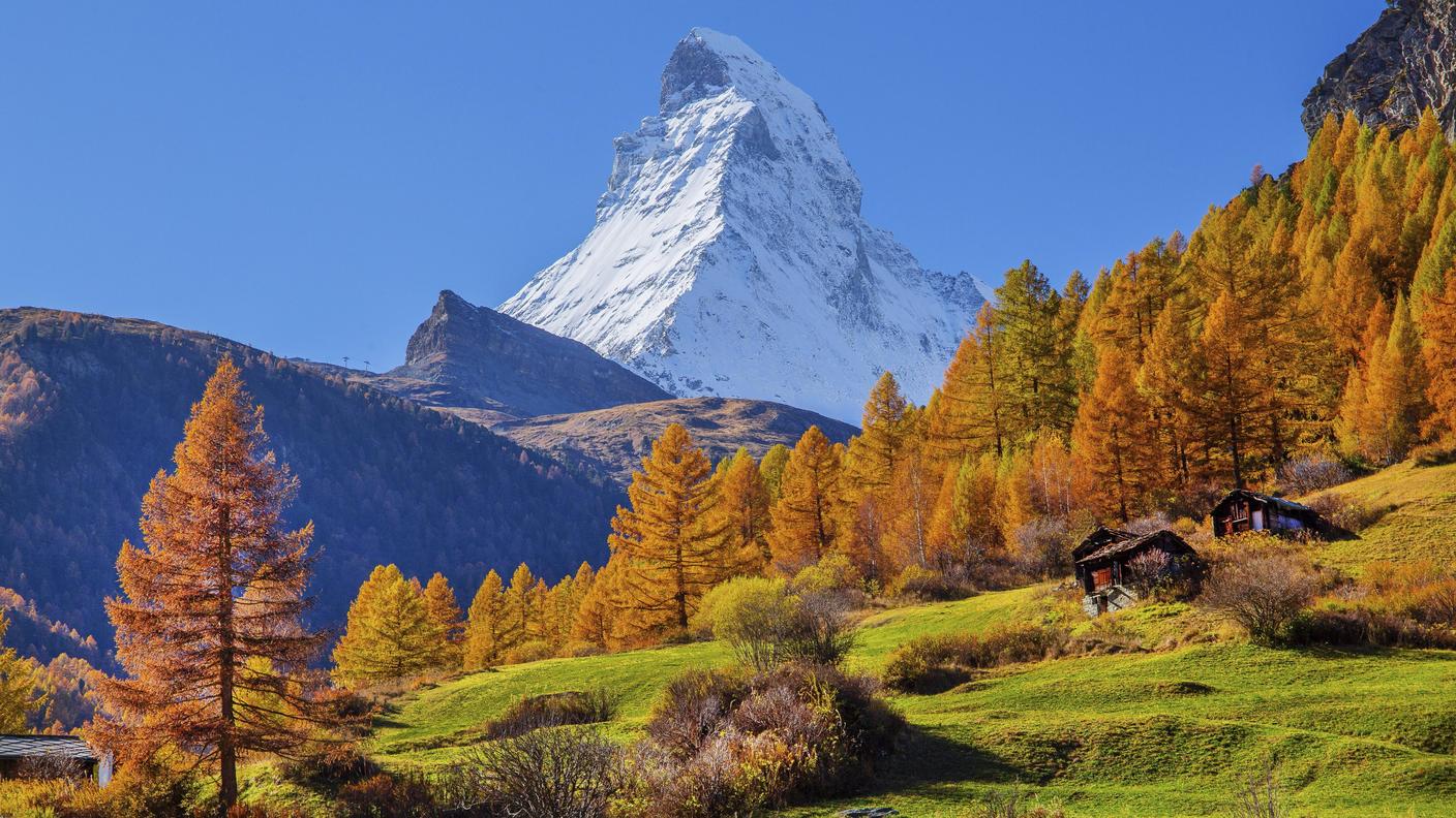 Un lariceto in Vallese; sullo sfondo il Matterhorn 