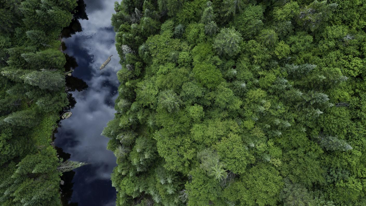 iStock-1171841017.jpg