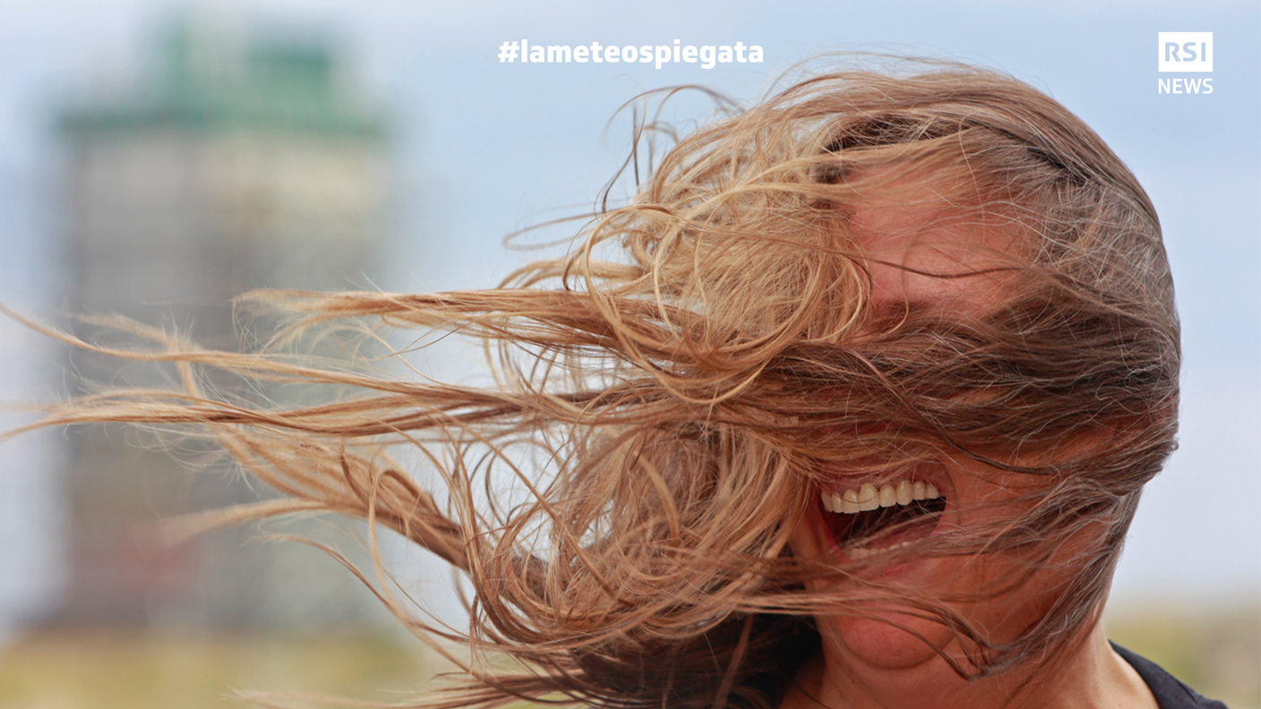 "Non è necessario temere il vento se i tuoi covoni di fieno sono legati" - Proverbio turco