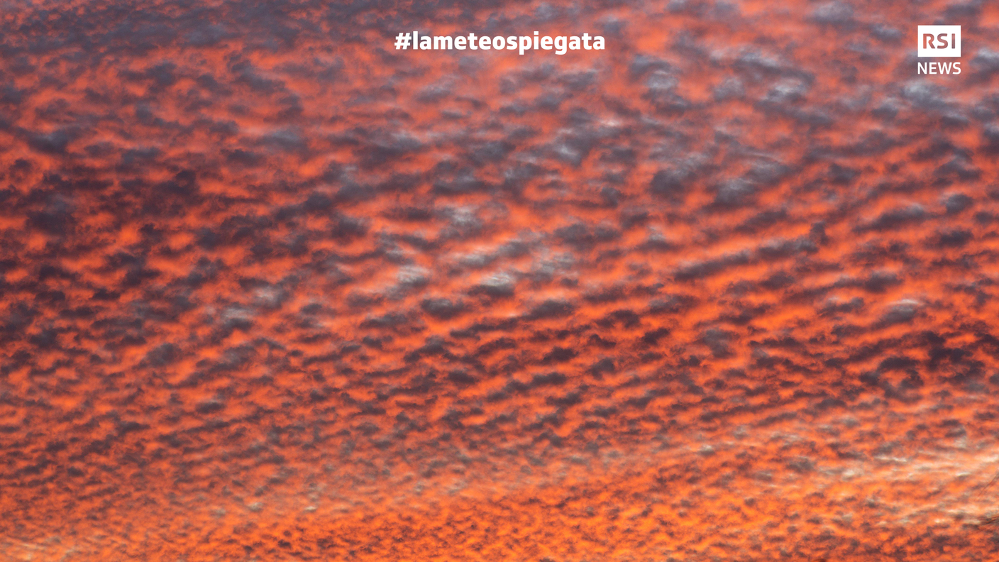 Altocumulo - Si presenta a banchi o come vaste distese di elementi rotondeggianti bianchi e/o grigi (nella foto arancioni perché catturati al tramonto), spesso con ombra propria. La struttura è squamosa, talvolta acquosa e diffusa. L’altocumulo è composto di ammassi rotondeggianti o affusolati, collegati o separati fra loro. Un altocumulo raramente appare da solo. La maggior parte delle nubi sono disposte in modo regolare e hanno solitamente una larghezza apparente da 1 a 5 gradi (la larghezza di 2-3 dita a braccio teso).