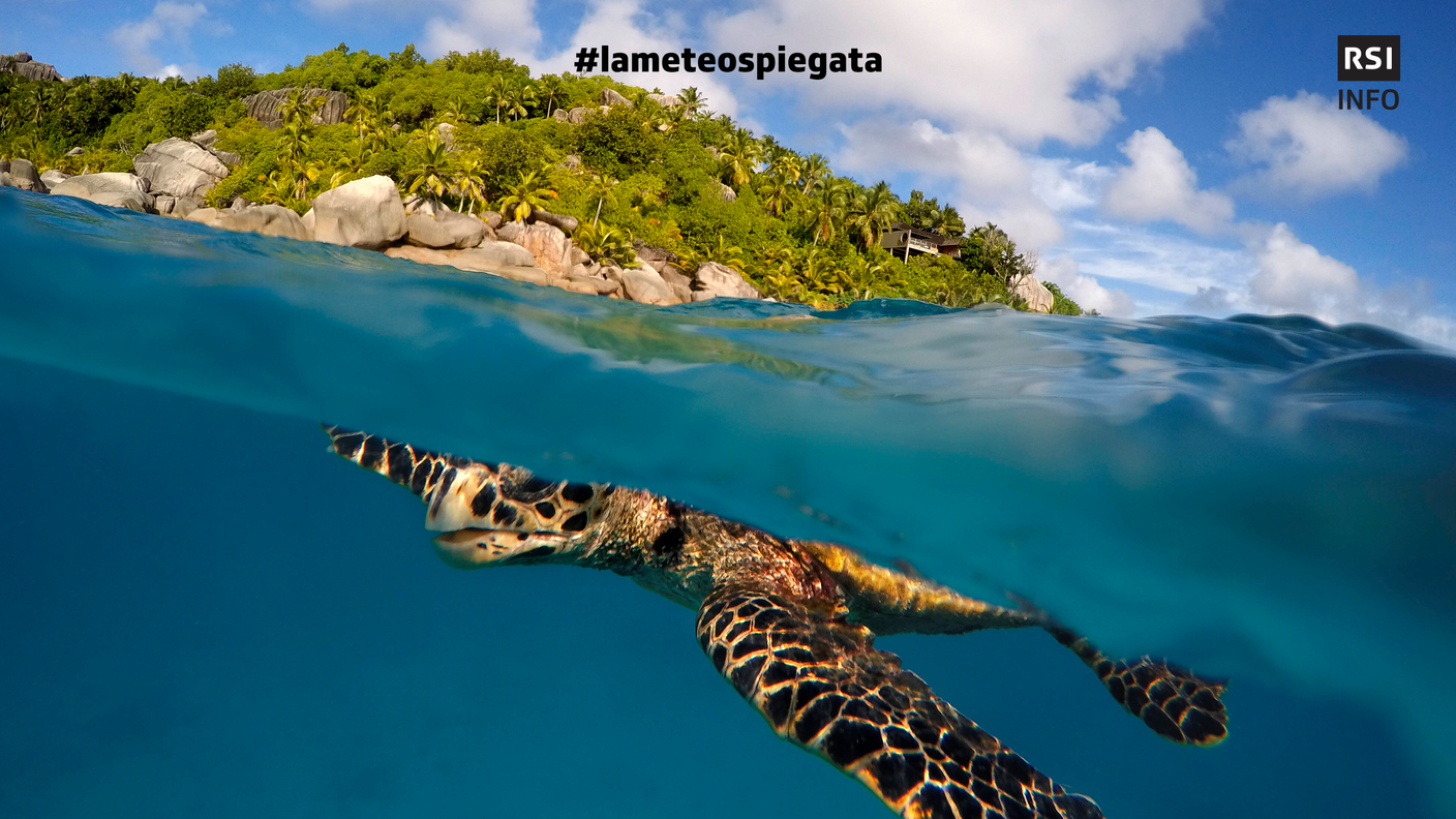 Acque superficiali calde e tropicali alle Seychelles