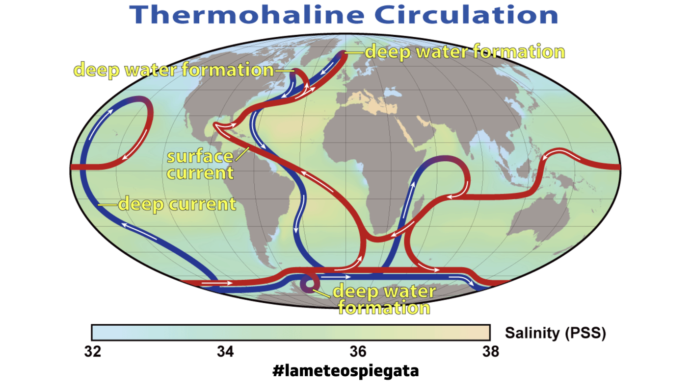 Lo schema della circolazione termoalina