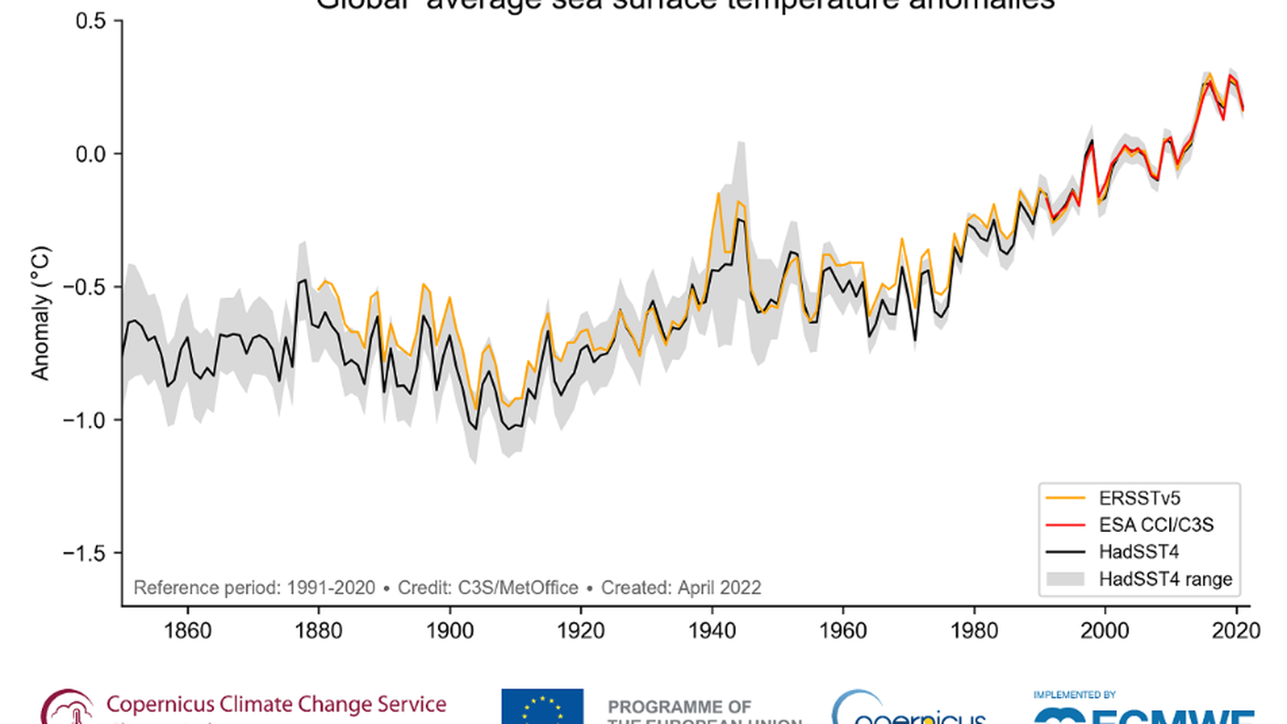 Anomalia della temperatura annua media globale della superficie del mare (°C), rispetto al periodo di riferimento 1991-2020