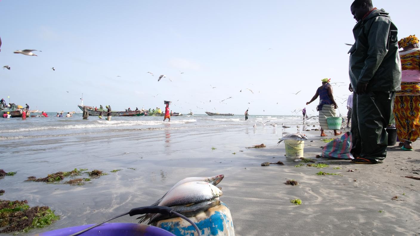 Il pesce ormai scarseggia al mercato di Gunjur