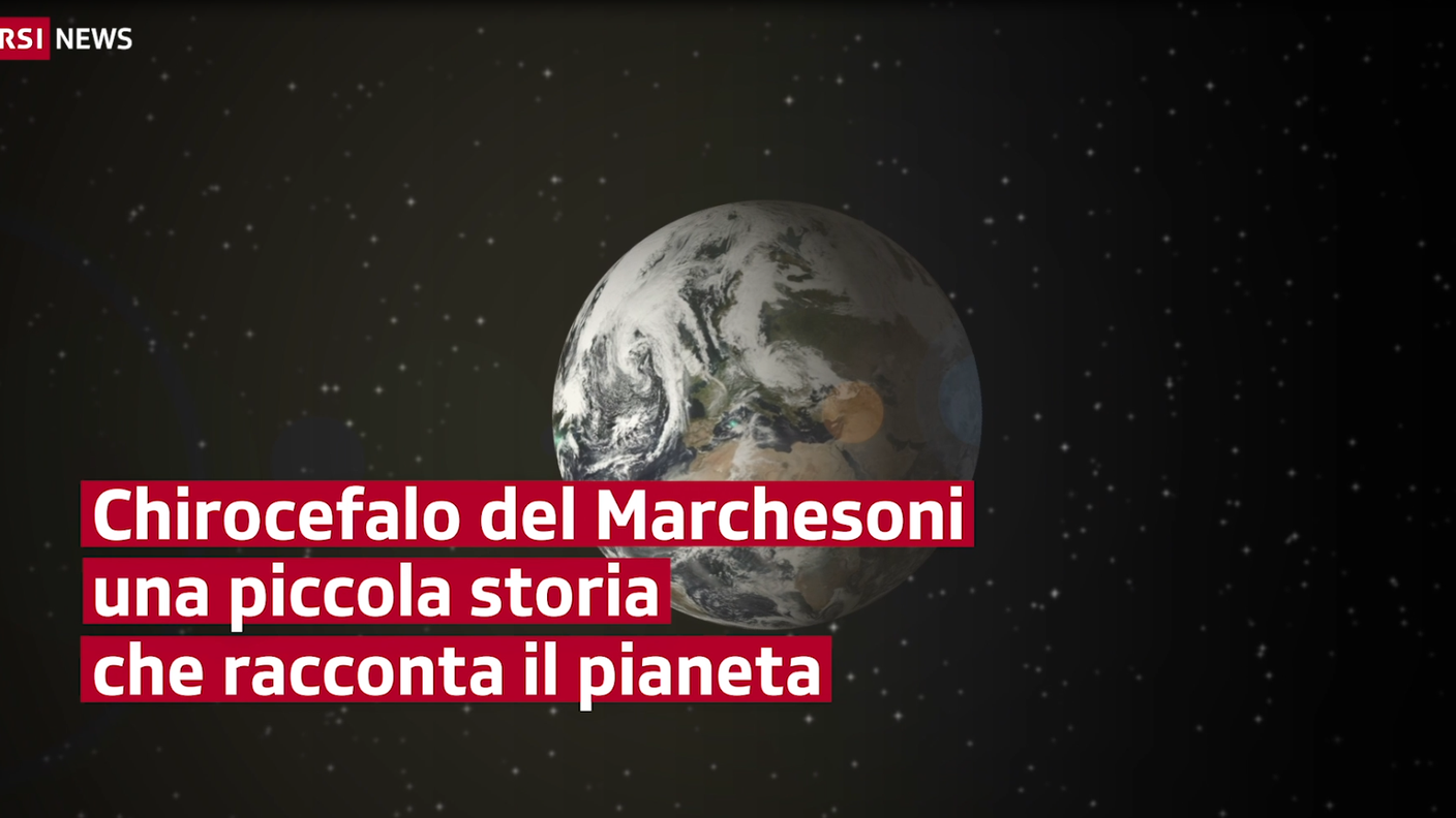 Una piccola storia ... nobile