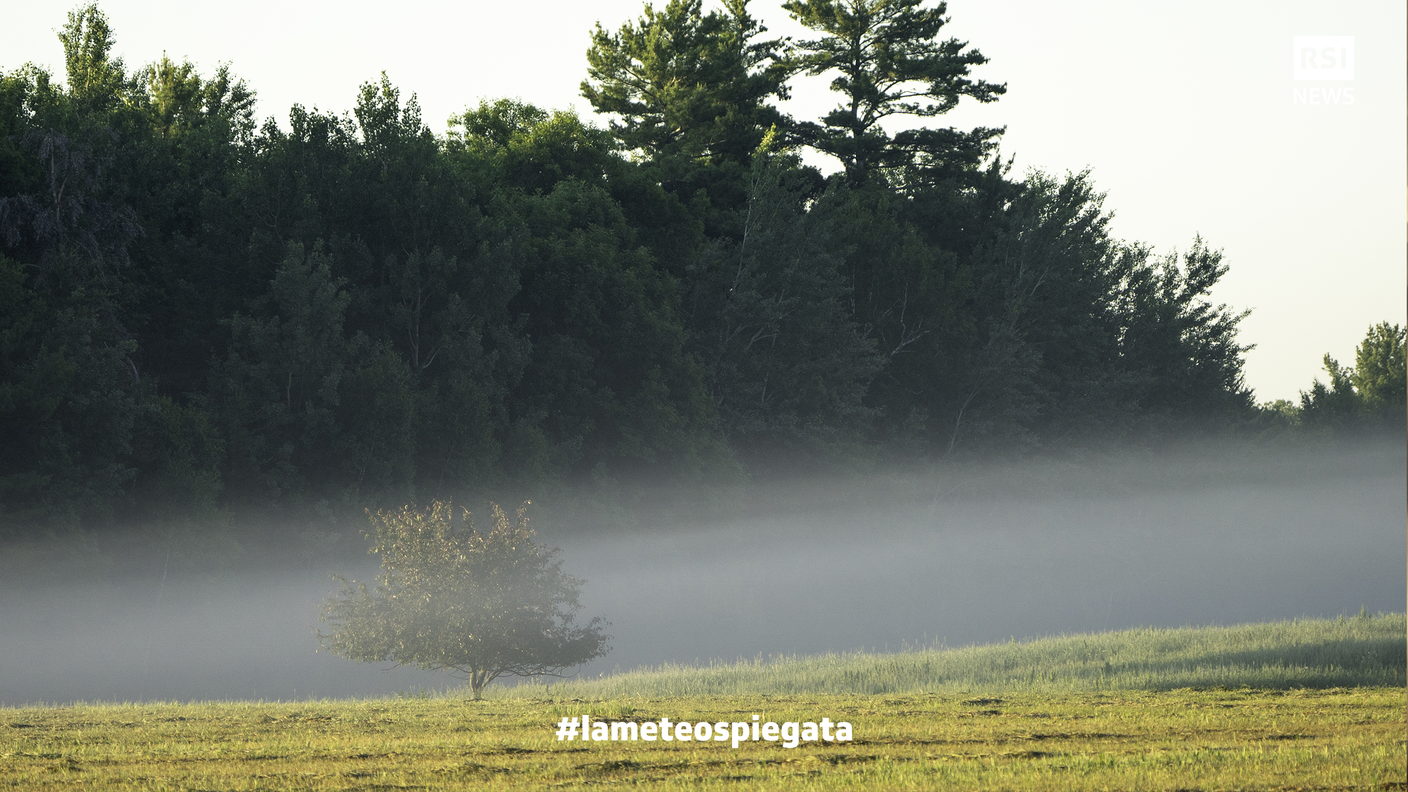 La tipica nebbia da irraggiamento mattutina
