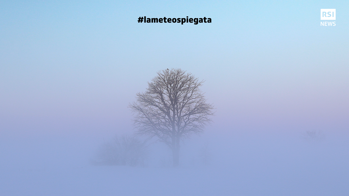 Un esempio di nebbia ghiacciata in un campo