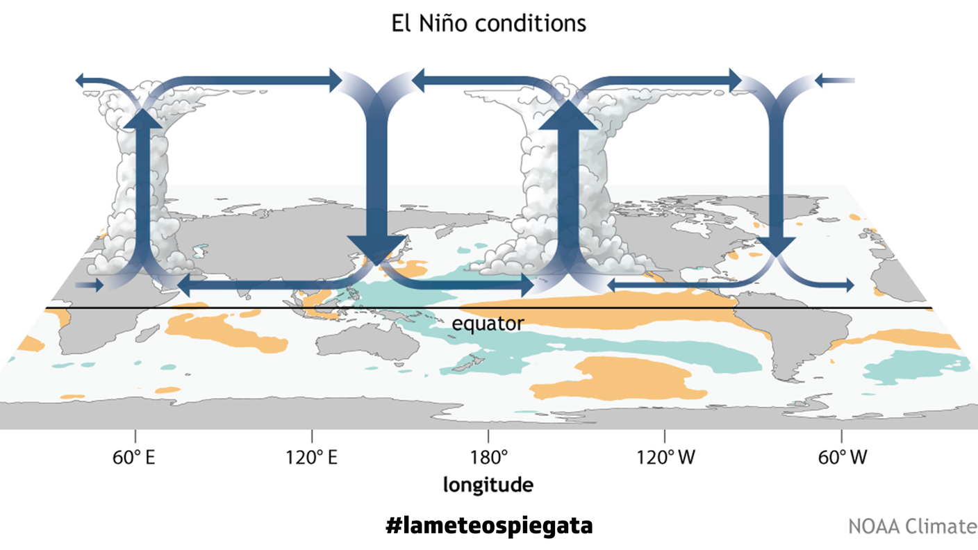 La dinamica circolatoria durante le fasi di El Niño