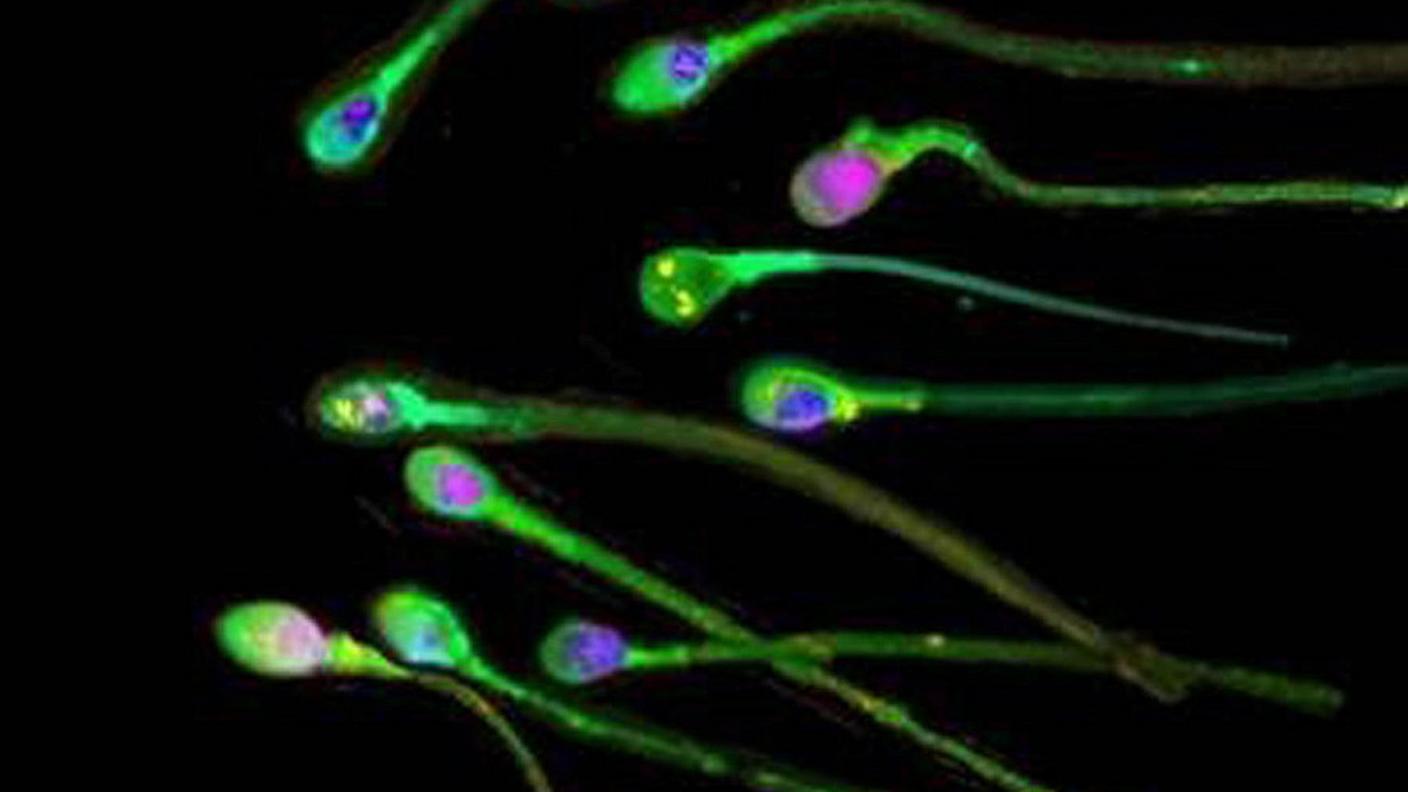 Gli scienziati, di una società di biotecnologia, hanno reso noto la novità prima della pubblicazione su una rivista scientifica