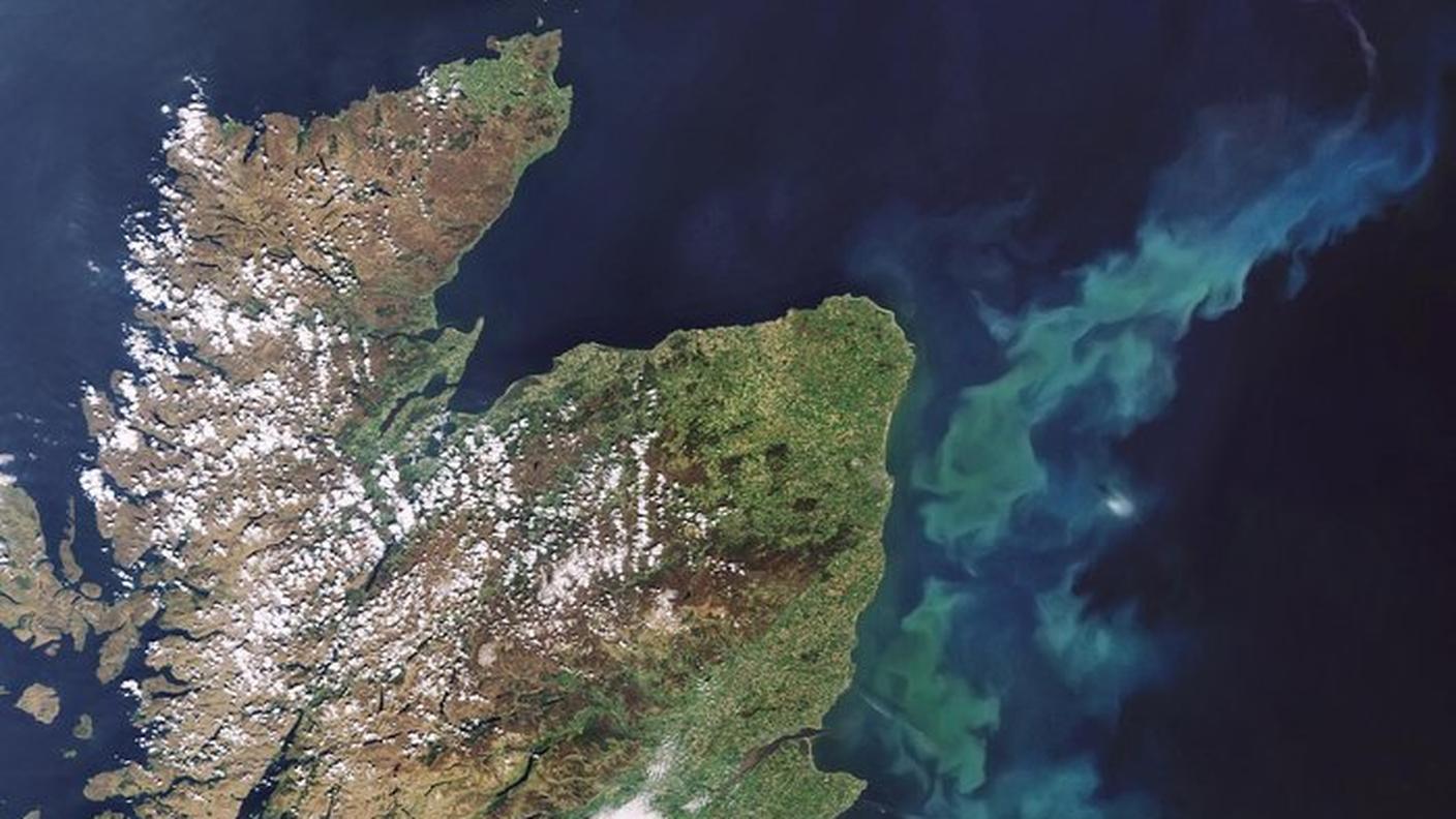 Fioritura di fitoplancton al largo della Scozia, una delle tante immagini del programma Copernicus