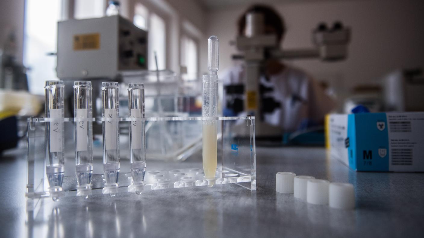 Per alcuni tumori i risultati sono superiori rispetto a quelli ottenuti con l'immunoterapia