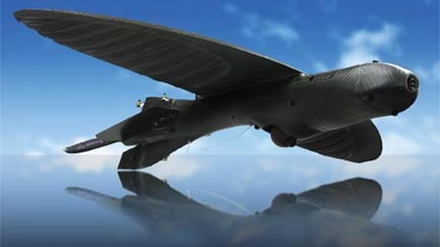 drone antizanzare in Florida 17.08.2013.jpg