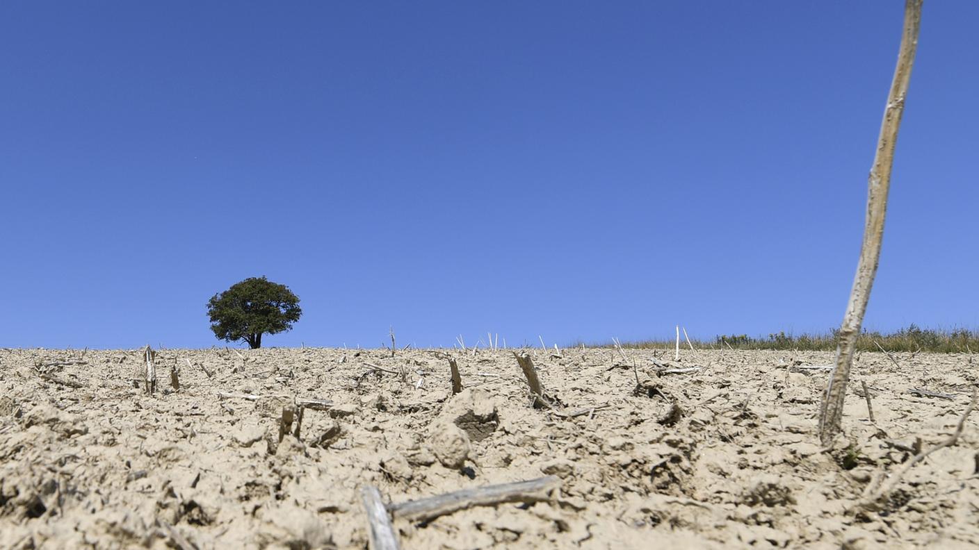 La temperatura globale continuerà a salire