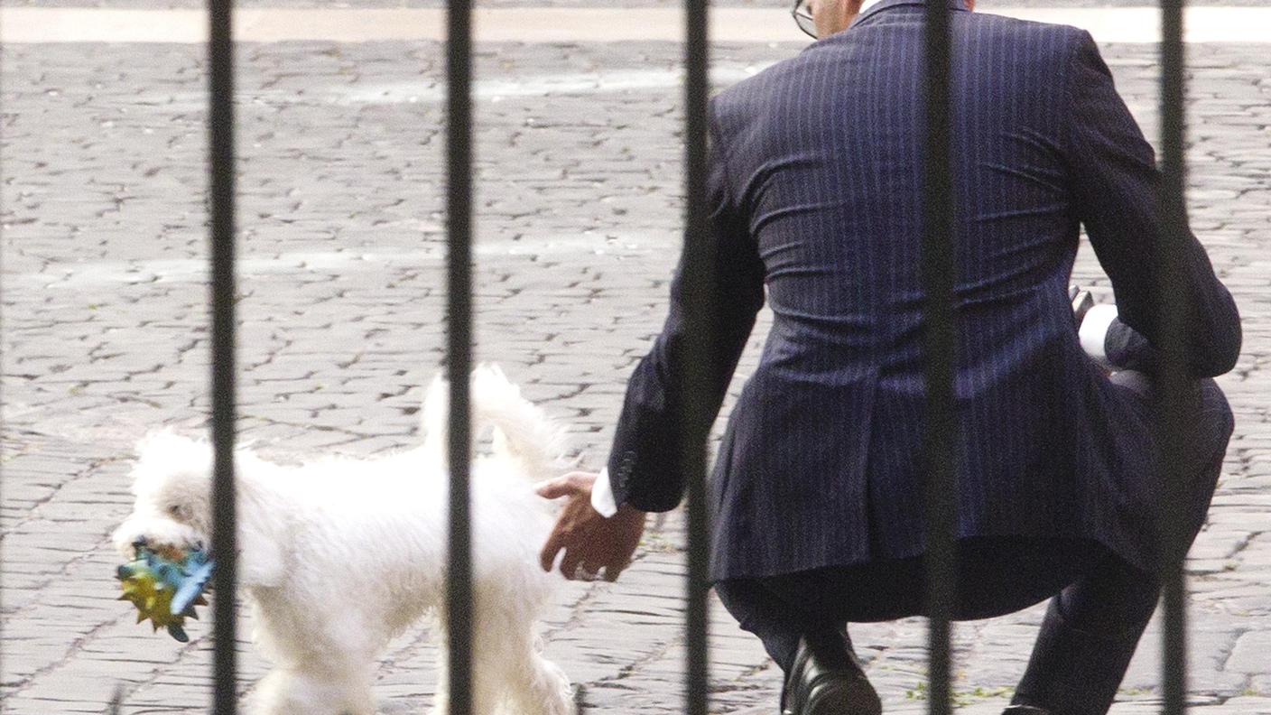Dudù con le guardie del corpo