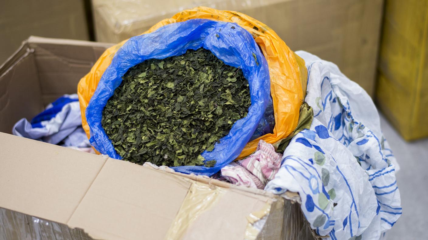 Le foglie essiccate erano segnate come té o spezie