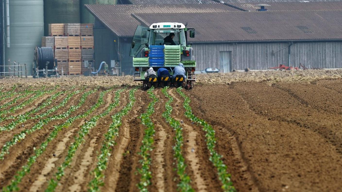 Il mondo agricolo non ottiene l'ascolto voluto