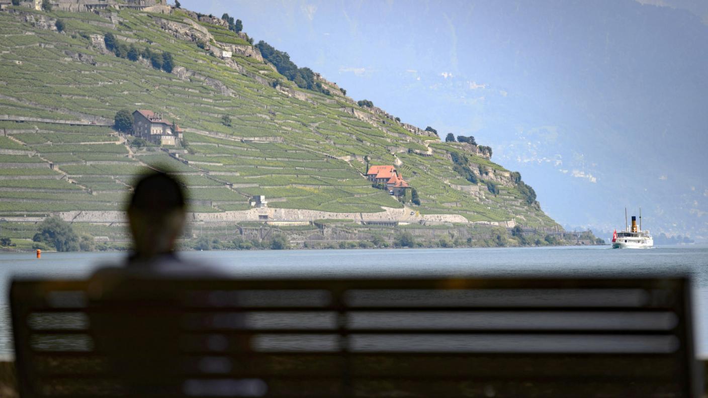 Nei vigneti romandi meno uva, ma la qualità si annuncia eccellente