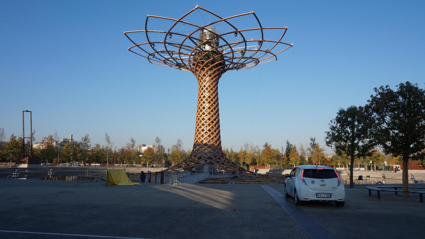 L'albero della vita