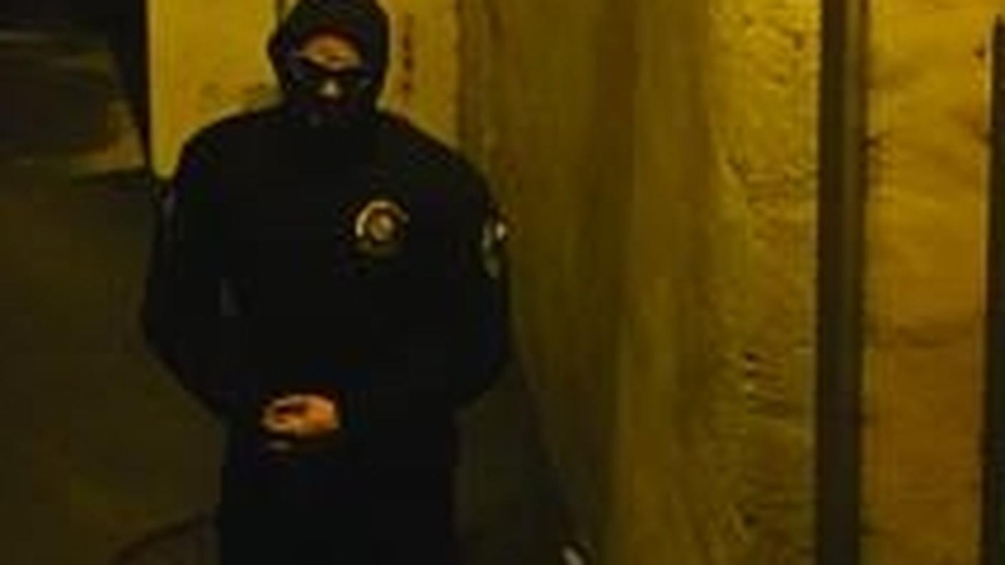 L'immagine che il gruppo dà di sé online