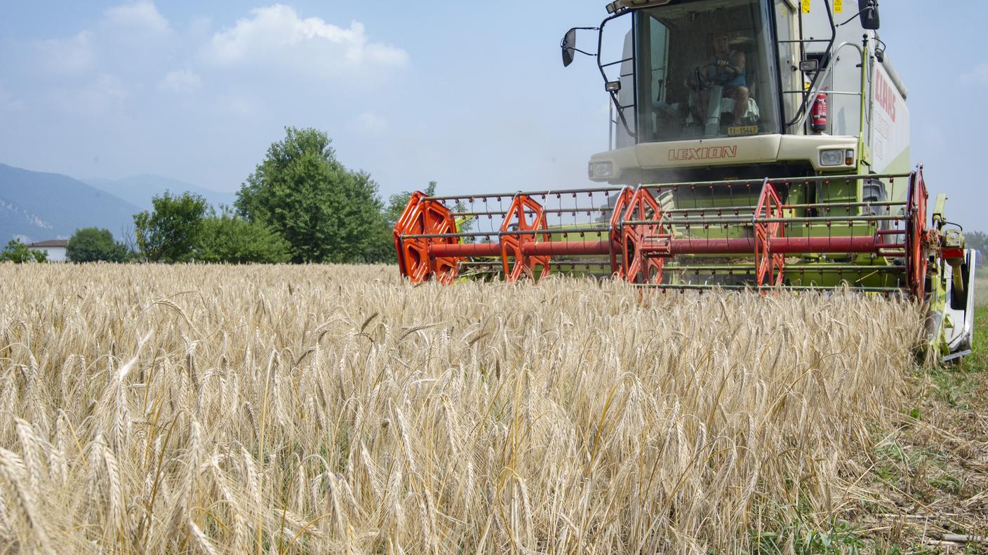 Impatto minimo delle economie sul settore agricolo