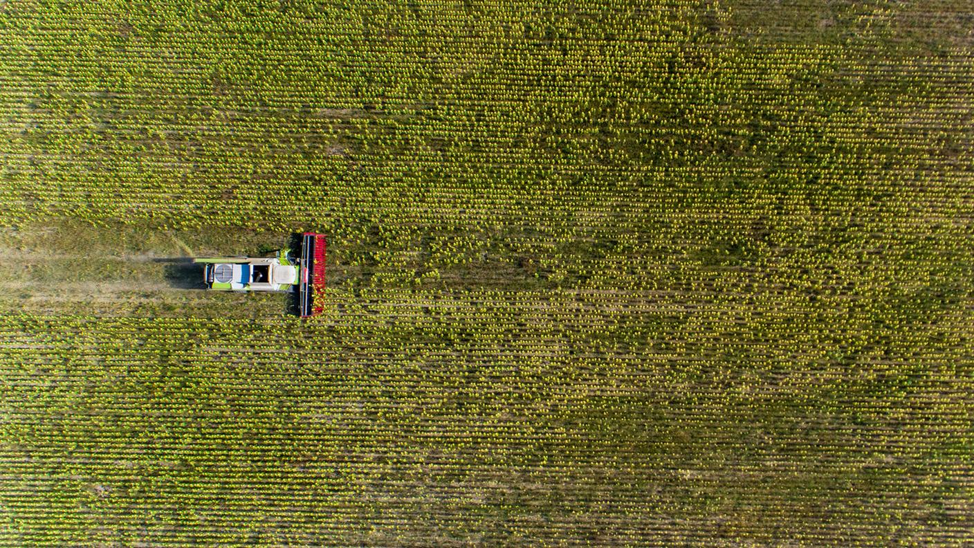 Il numero di aziende agricole è diminuito maggiormente nei cantoni di Nidvaldo, Ticino e Zurigo
