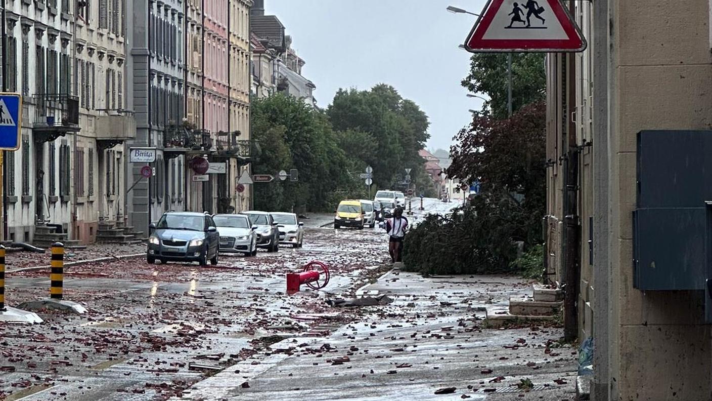 Dopo il passaggio della tempesta...