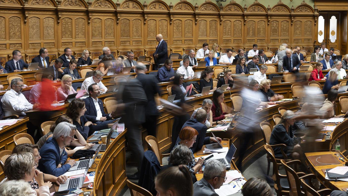 Il Consiglio Nazionale