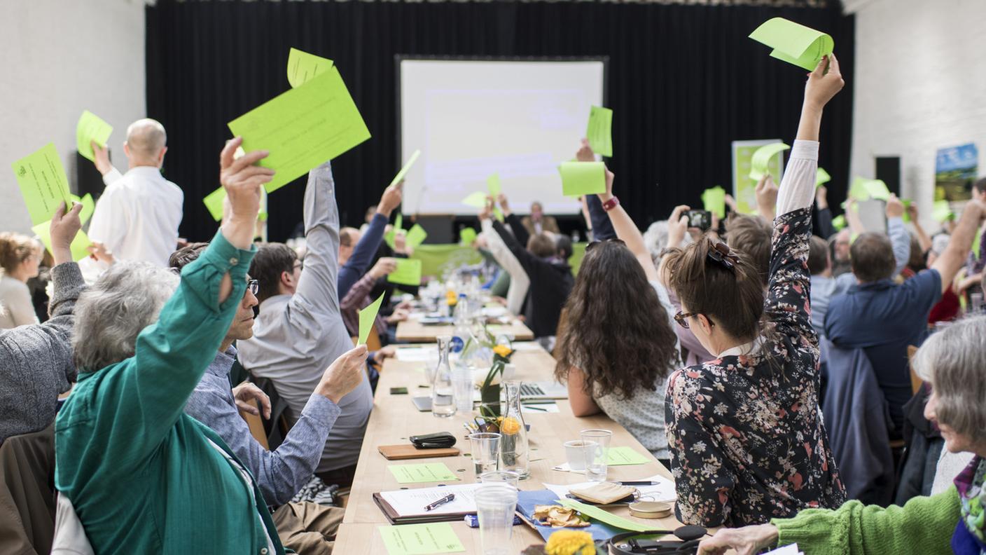 Verdi in assemblea