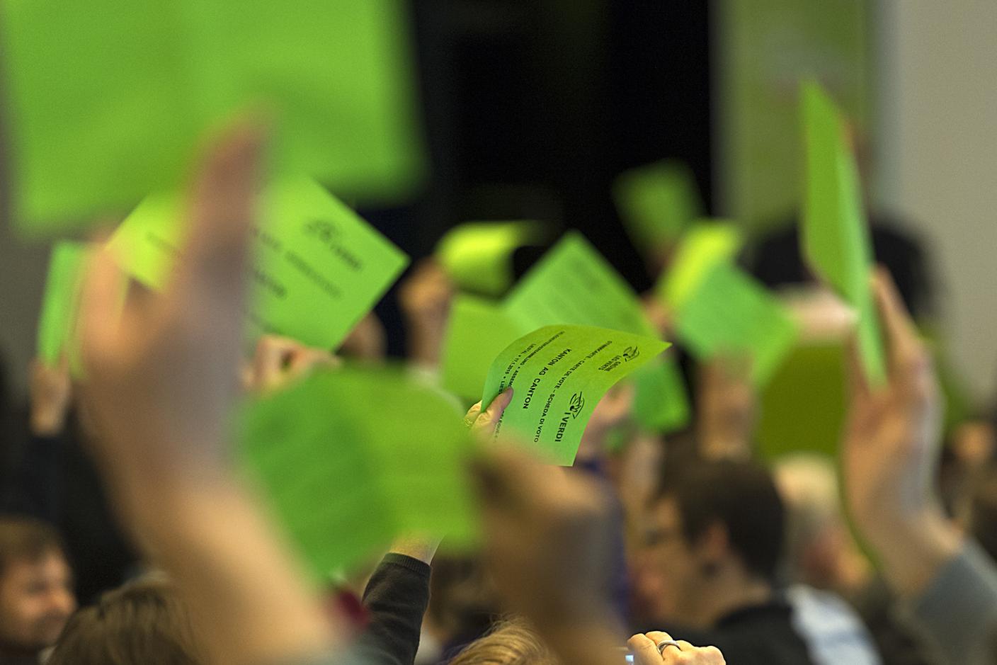 Verdi e Verdi liberali, benché sconfitti alle ultime elezioni, hanno comunque insieme una forza elettorale pari a oltre un sesto dei suffragi