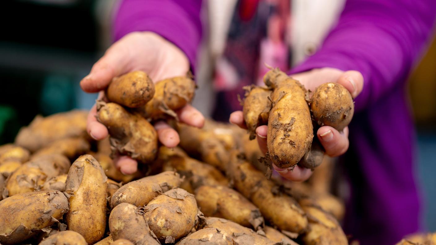 Particolarmente colpite le coltivazioni di patate