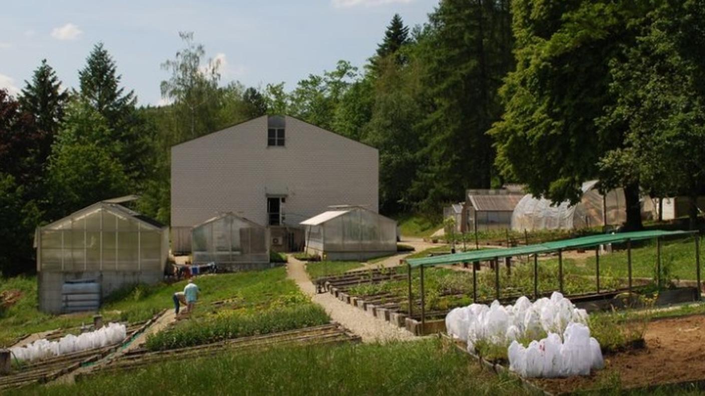 La sede del CABI a Delémont