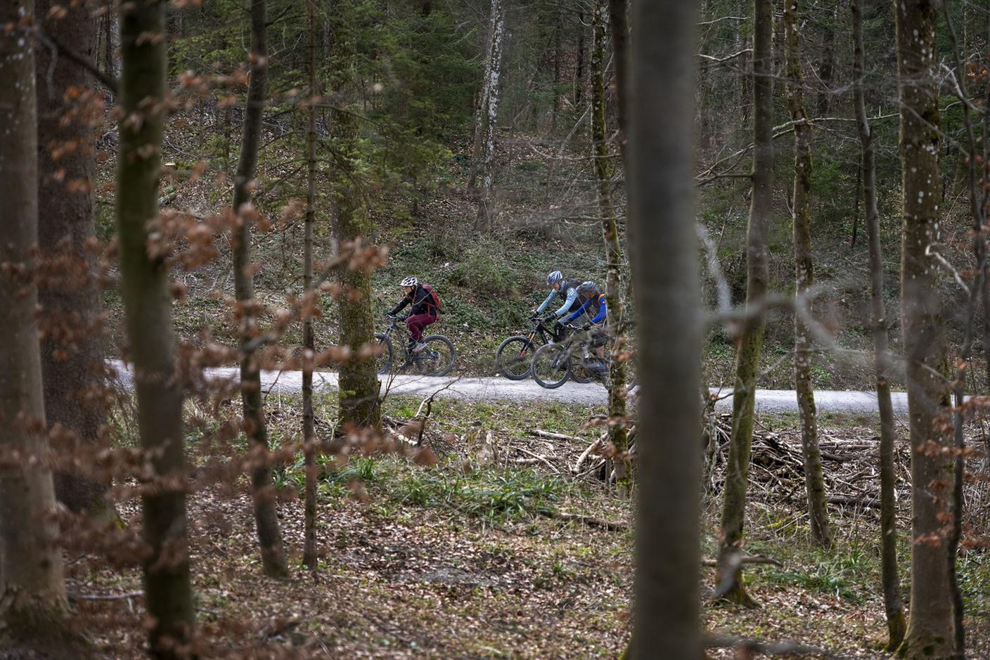 Votazione nel canton Zugo: la nuova legge forestale è finita nel mirino degli appassionati di mountain bike