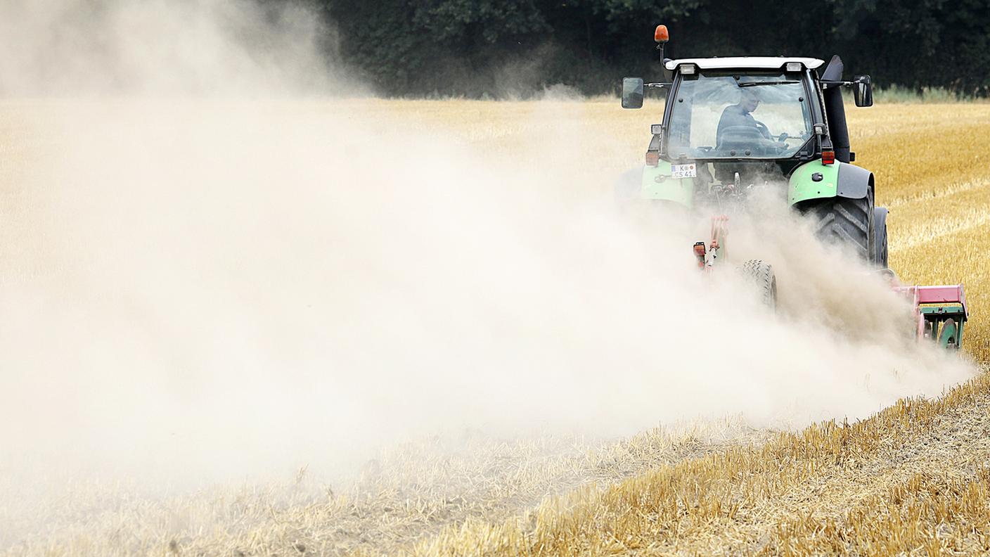 Il dazio sul fieno e il mais sarà temporaneamente ridotto