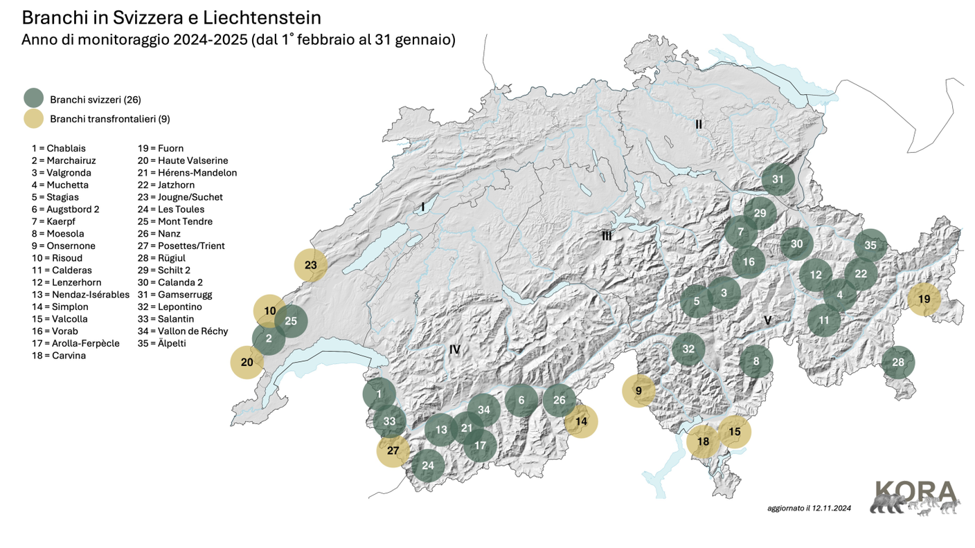 Evidenze dei branchi in Svizzera e nel Liechtenstein segnalate su kora.ch