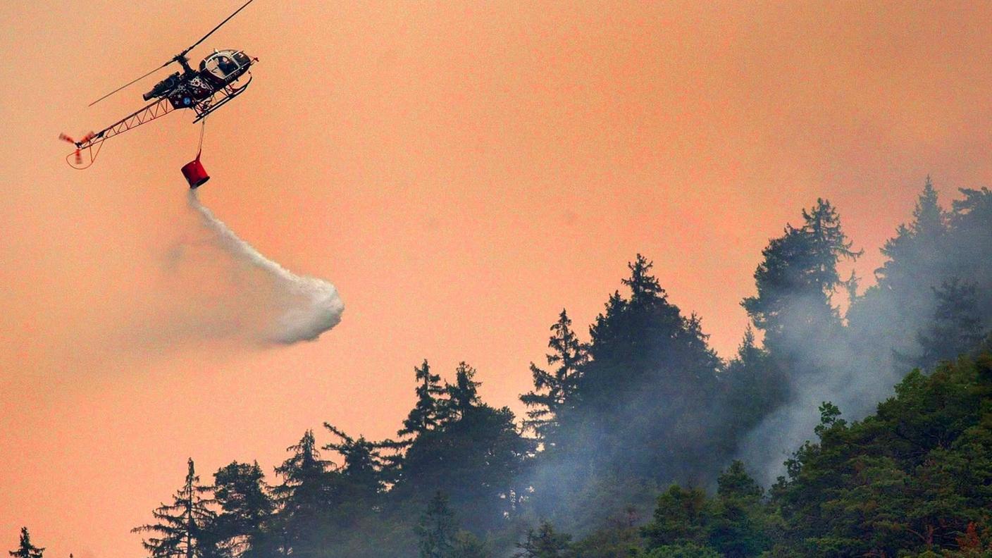 L'incendio del 2003 aveva mandato in fumo 300 ettari di bosco