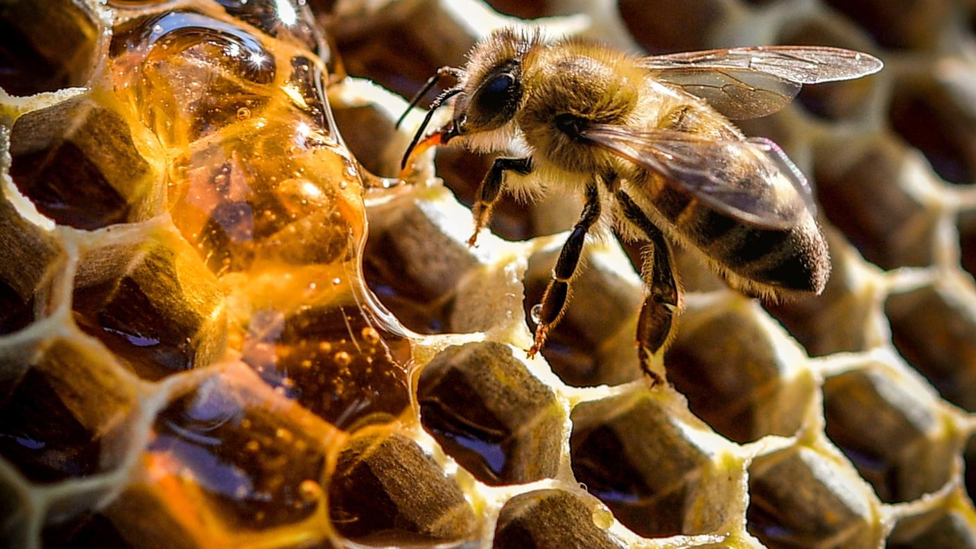 Alle piccole operaie è mancata la materia prima