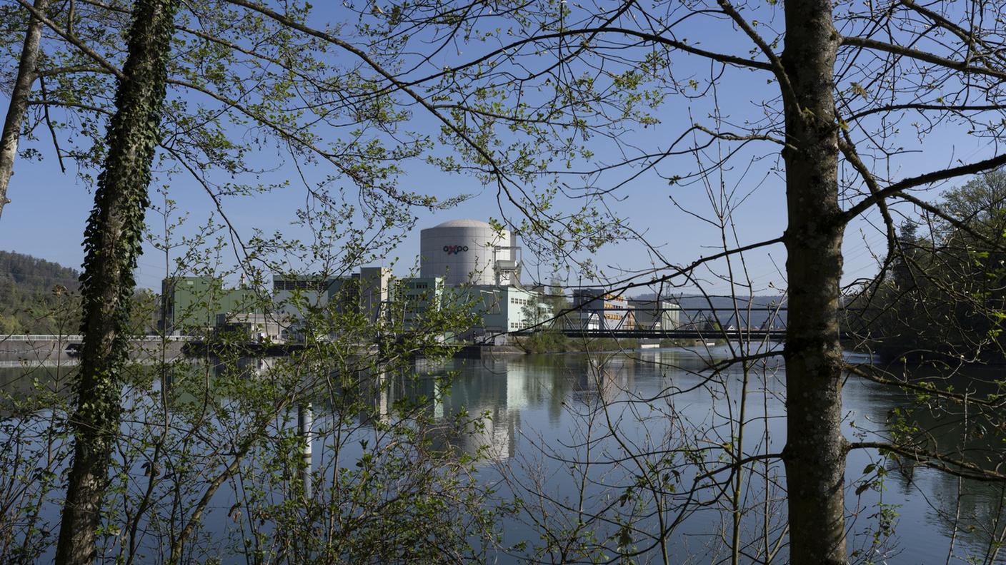 Salvaguardare flora e fauna del fiume
