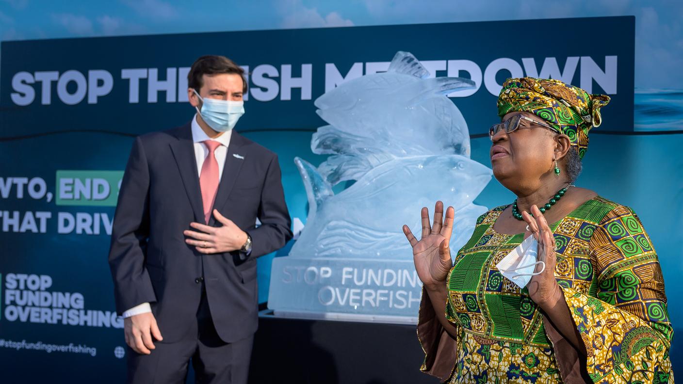 Ngozi Okonjo Iweala