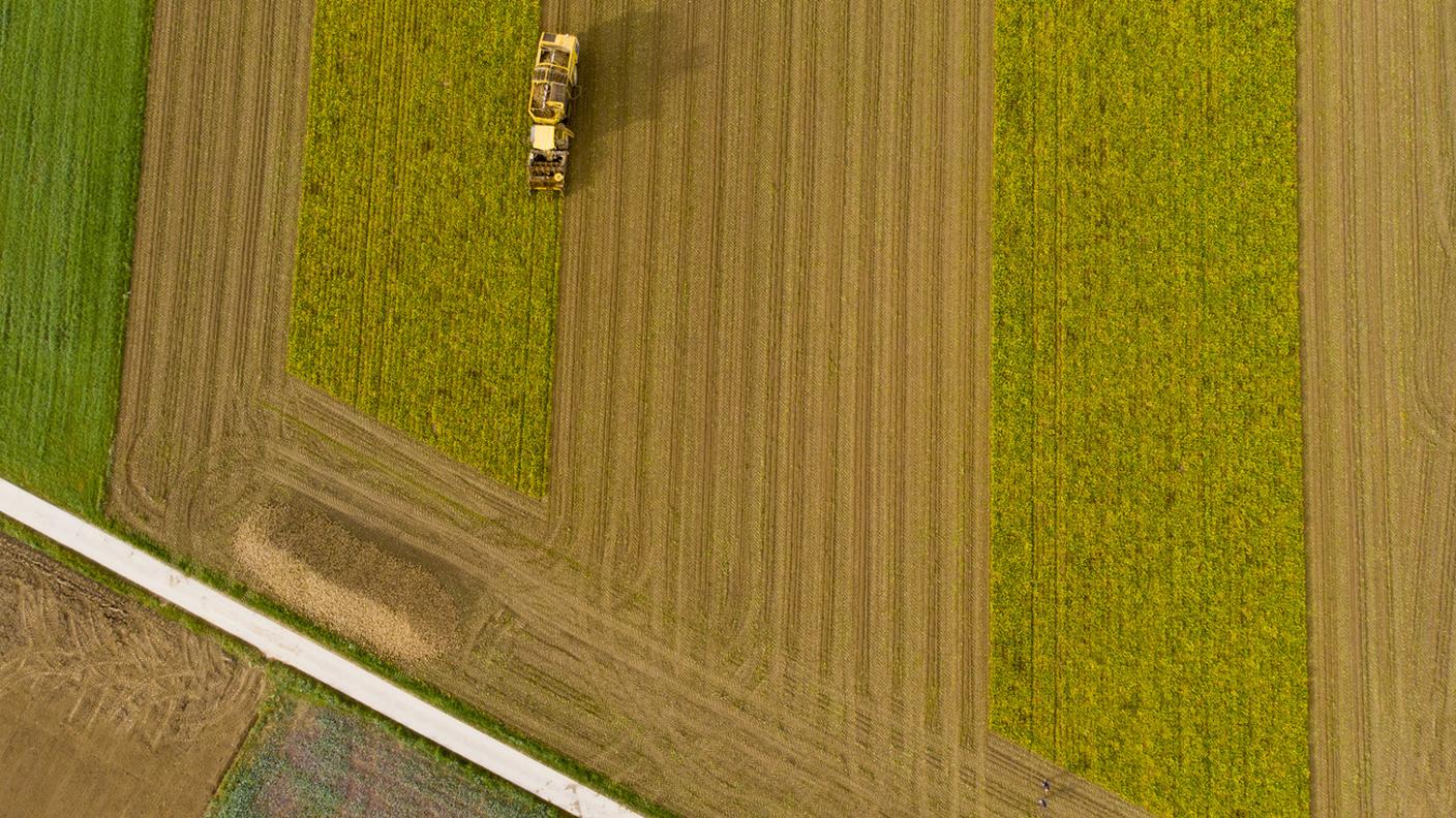 La maggioranza teme la perdita di terreni coltivi e reddito agricolo