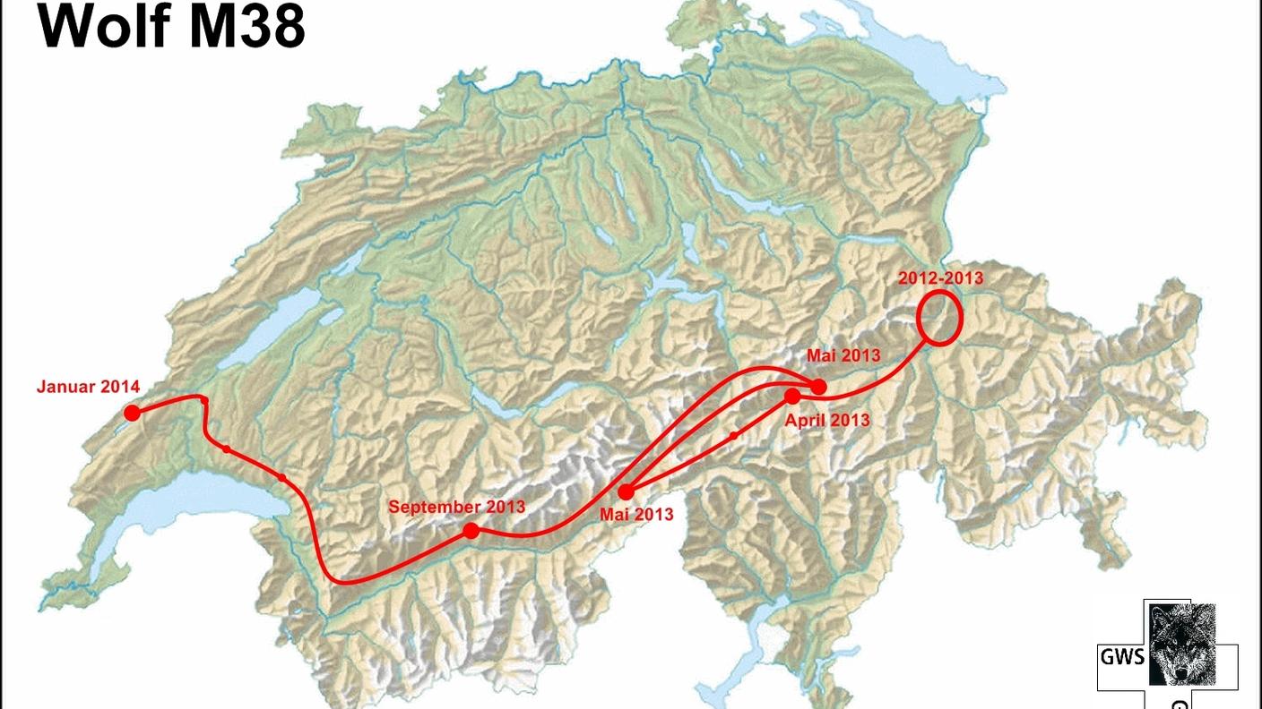 Gli spostamenti di M38