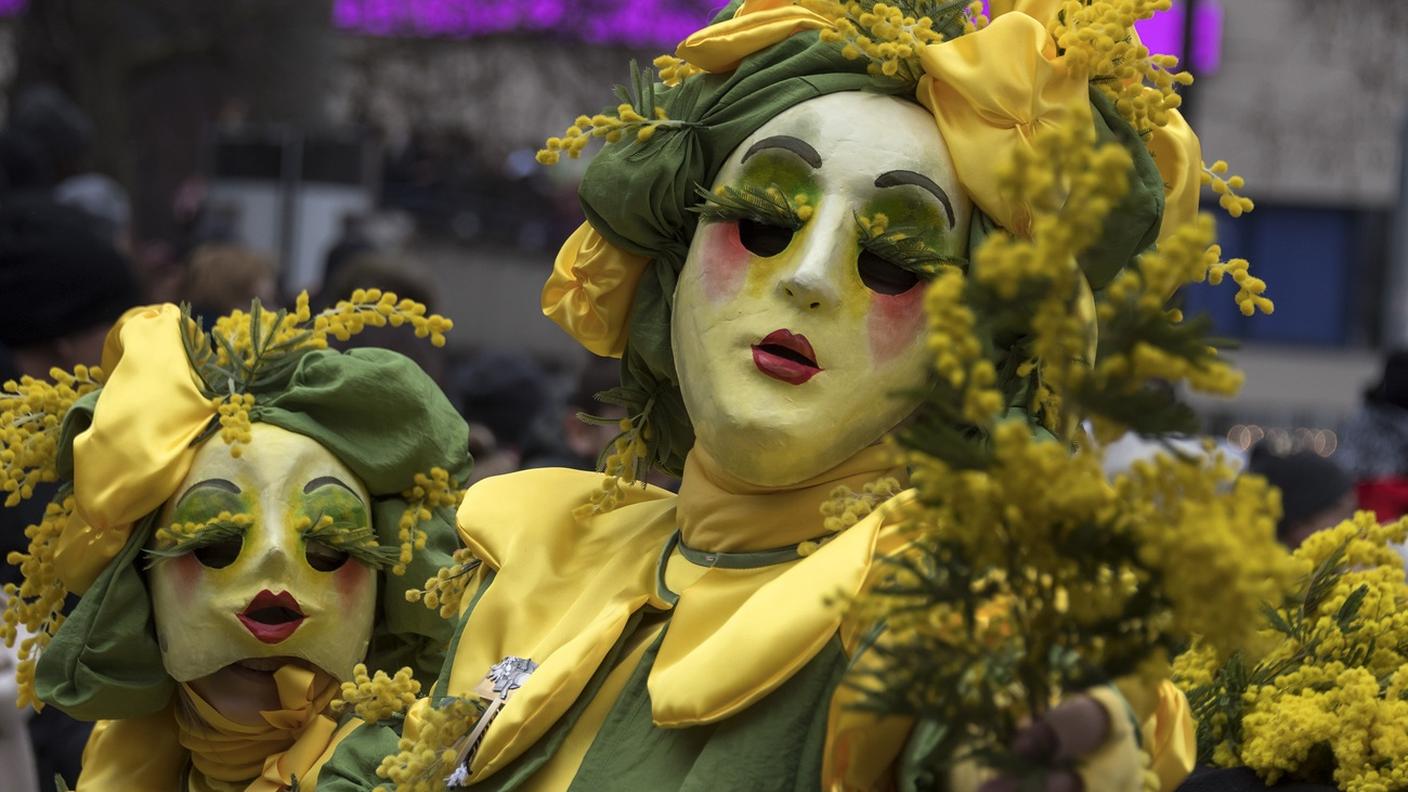 Le mimose protagoniste al carnevale di Basilea