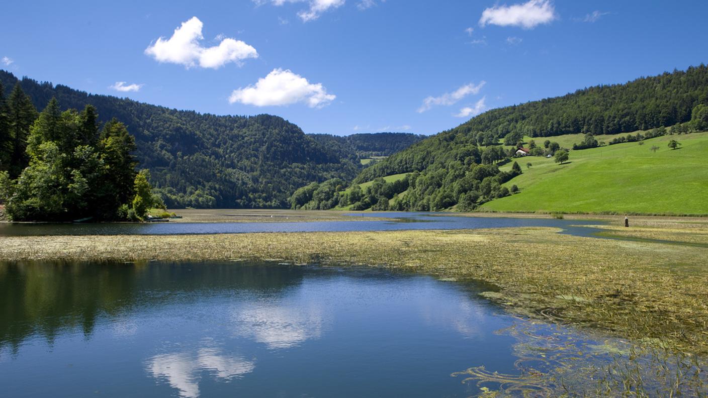 Nuova morìa di pesci nel fiume Doubs