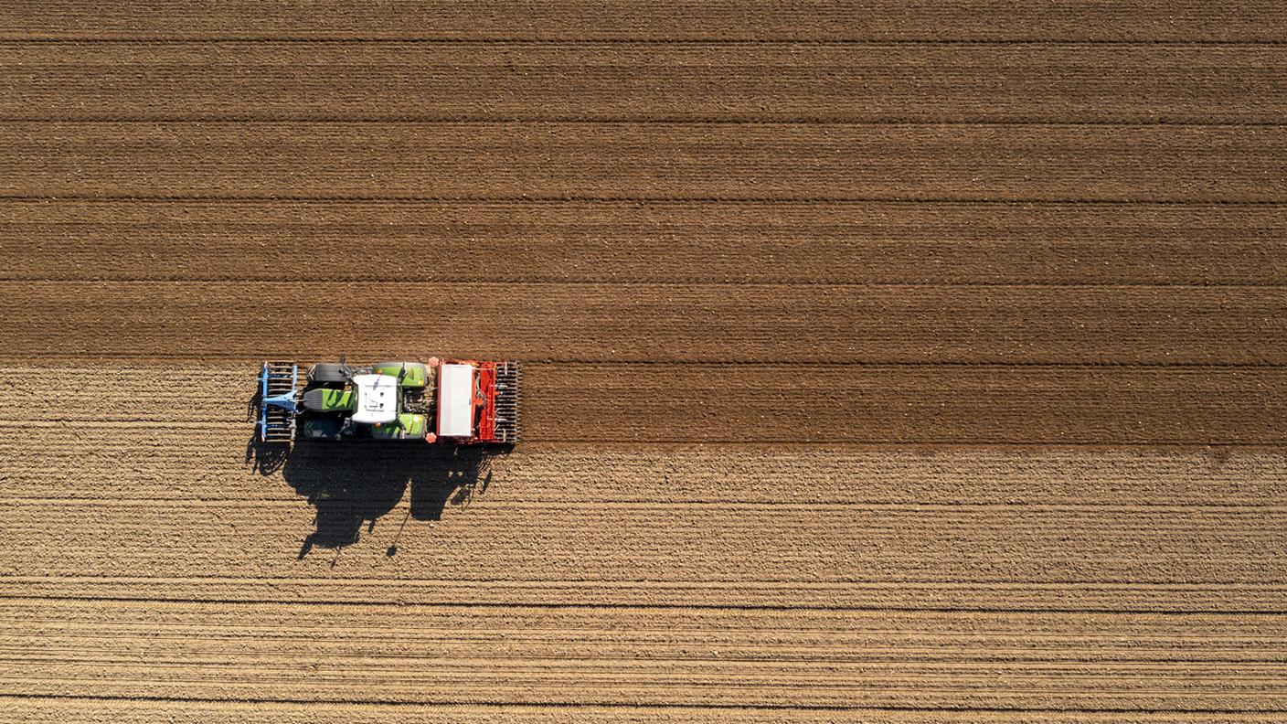 Il terreno agricolo diminuisce