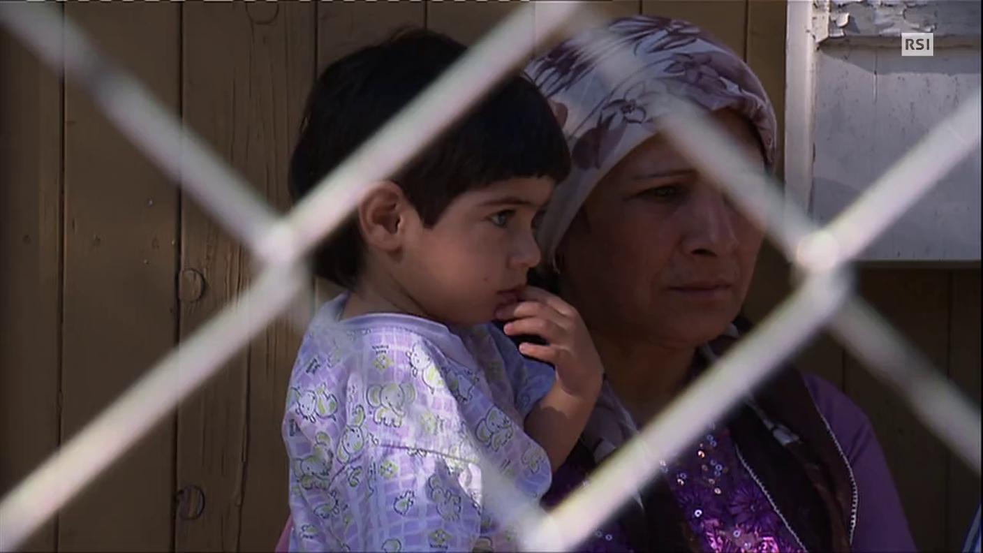 TG20 DEL 11.06.2014: "ASILO: PROCEDURE ACCELERATE A ZURIGO" DI LIDIA DE BERNARDI