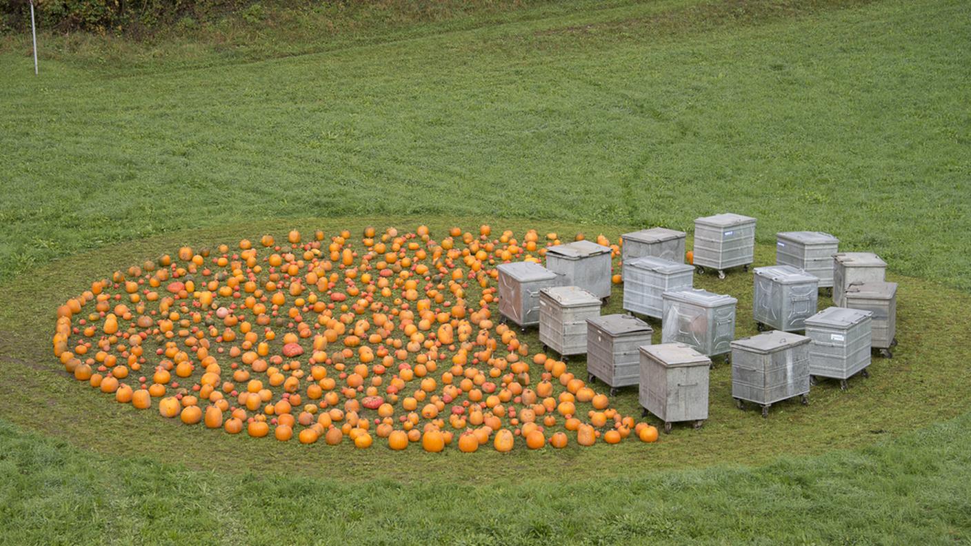 Un terzo degli alimenti non viene mangiato, secondo uno studio