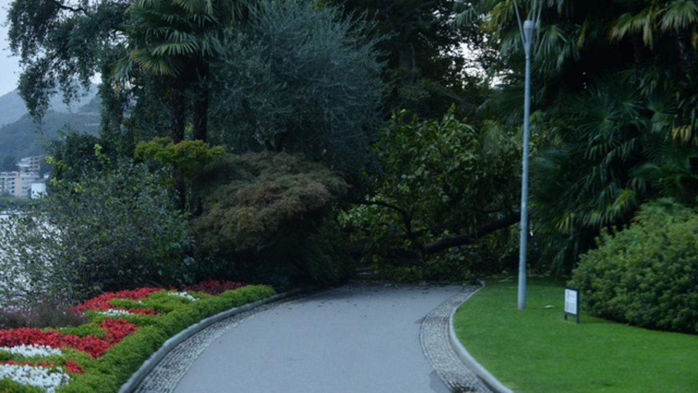 Parco Ciani a Lugano