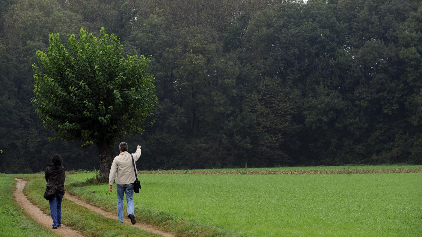 Un'immagine della zona di Valera