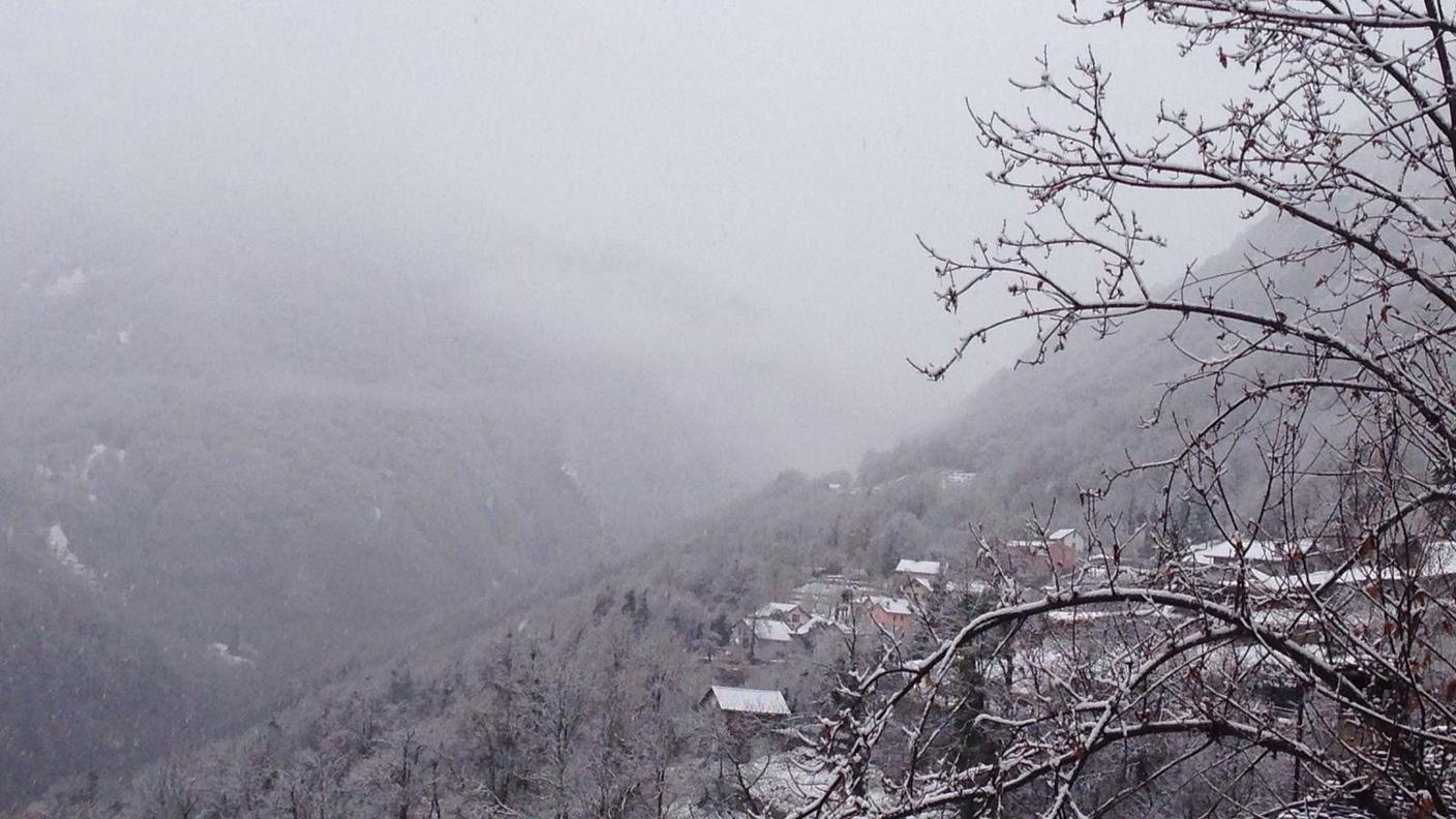 Neve a Loco