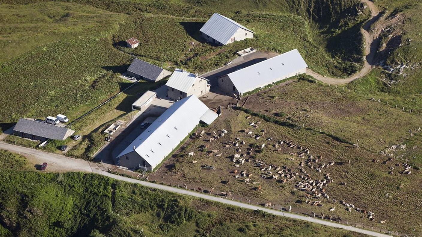 La zona dell'alpe di Cadagno nella regione del Ritom